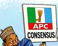 Drama as multiple aspirants gets APC INEC nomination forms