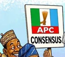 Drama as multiple aspirants gets APC INEC nomination forms