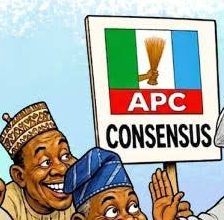 Drama as multiple aspirants gets APC INEC nomination forms