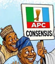 Drama as multiple aspirants gets APC INEC nomination forms