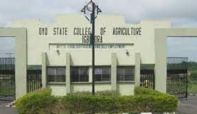 Panic in OYSCATECH as suspected cultist robbed neighboring community