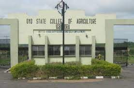 Panic in OYSCATECH as suspected cultist robbed neighboring community