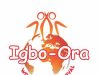 Breaking news: IGBOORA WORLD TWINS FESTIVAL 2026 UNVEILED